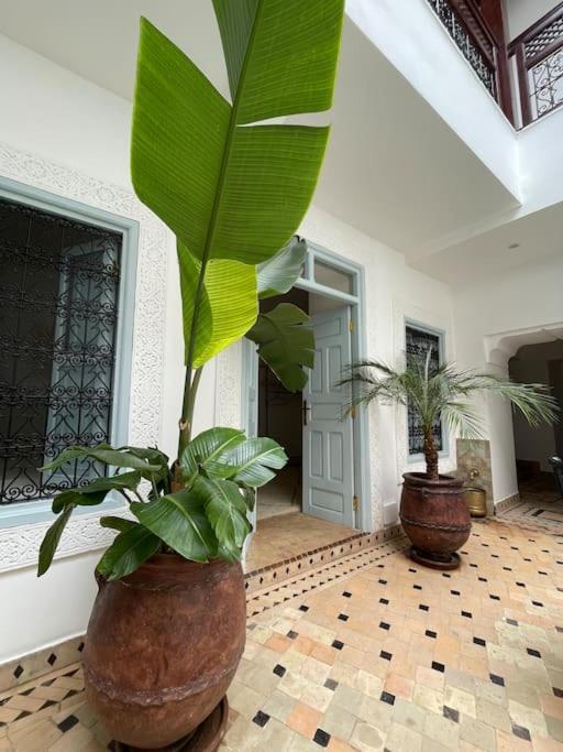 Riad Vivre - Design Boutique Riad In Marrakech Марракеш Экстерьер фото